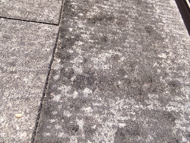 表面の塗装がなくなりカビが生えているスレート板